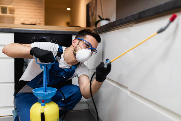 Best Pest Removal Services  in Beachwood, NJ