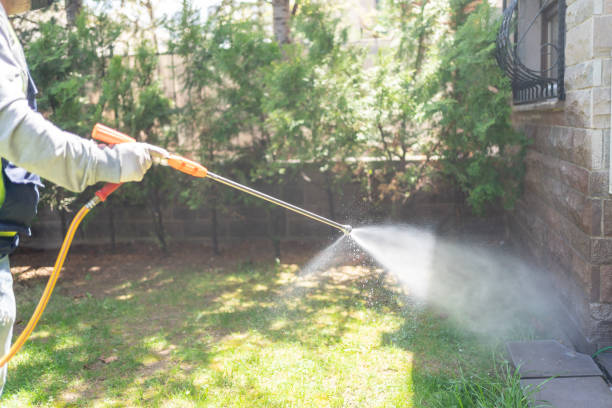 Best Wildlife Control Services  in Beachwood, NJ